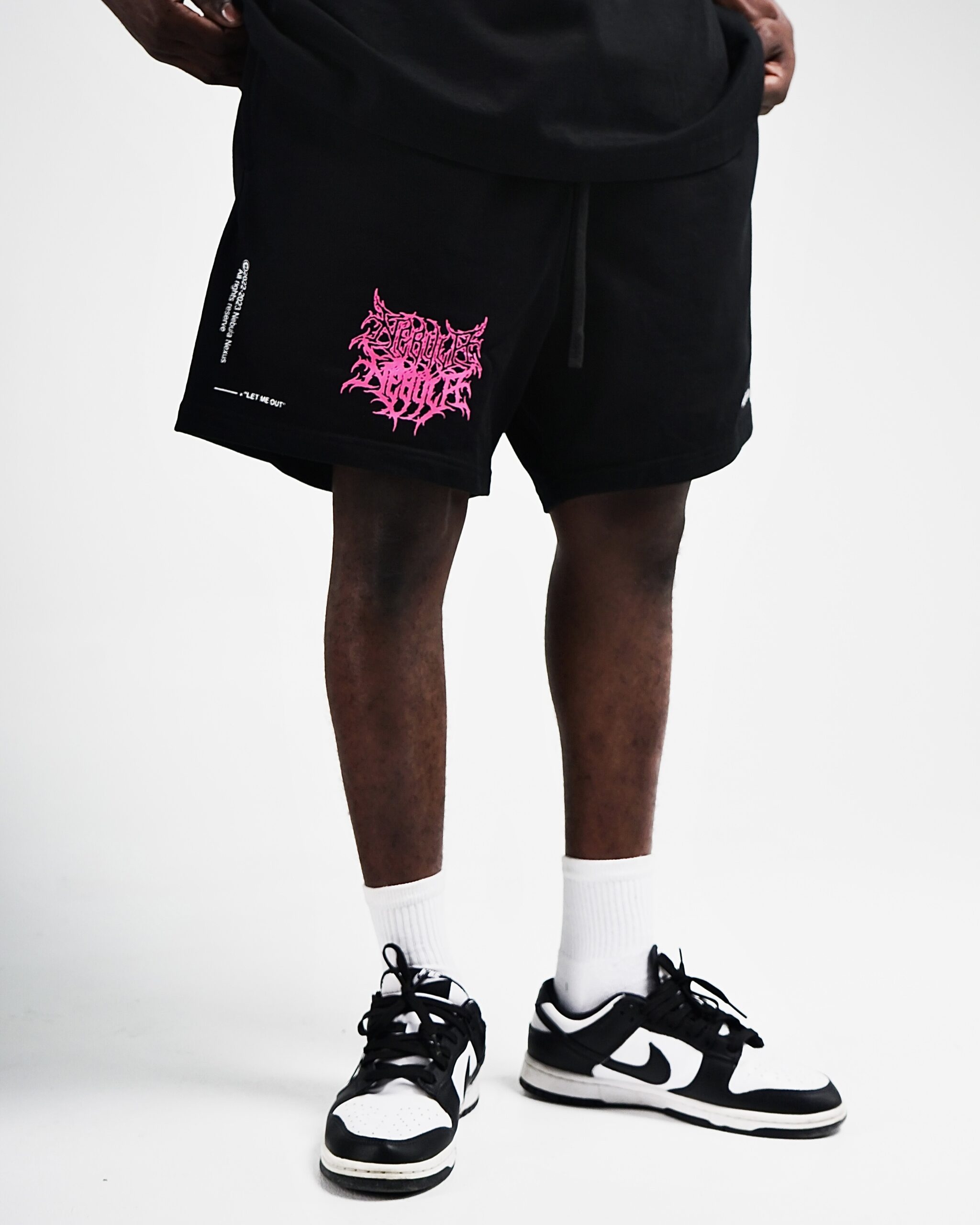 Orion NGC 1976 Short - Imagen 4